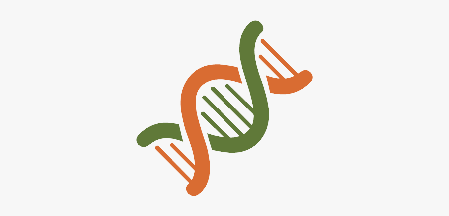 Dna Png - Computational Biologist Clip Art, Transparent Clipart