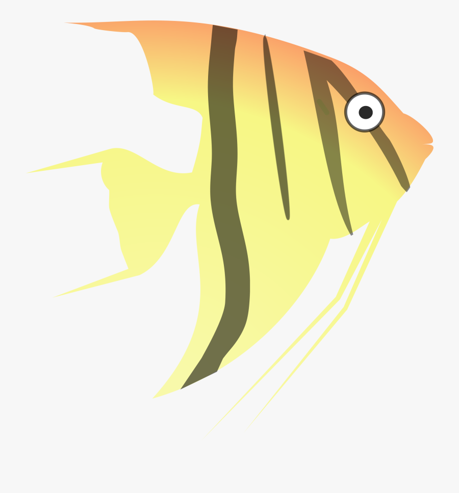 Fish With A Question Mark In It Clipart - Angel Fish Vector Cartoon, Transparent Clipart