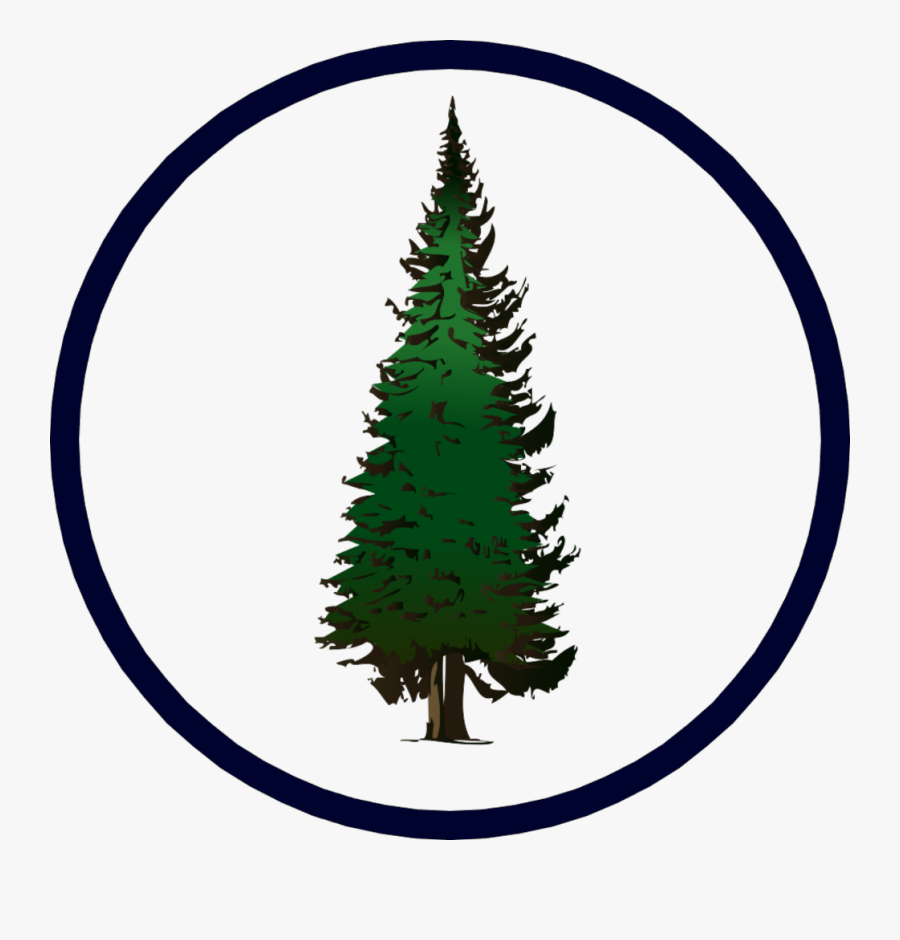 Pine Tree Clip Art , Png Download - Vector Pine Tree Png, Transparent Clipart