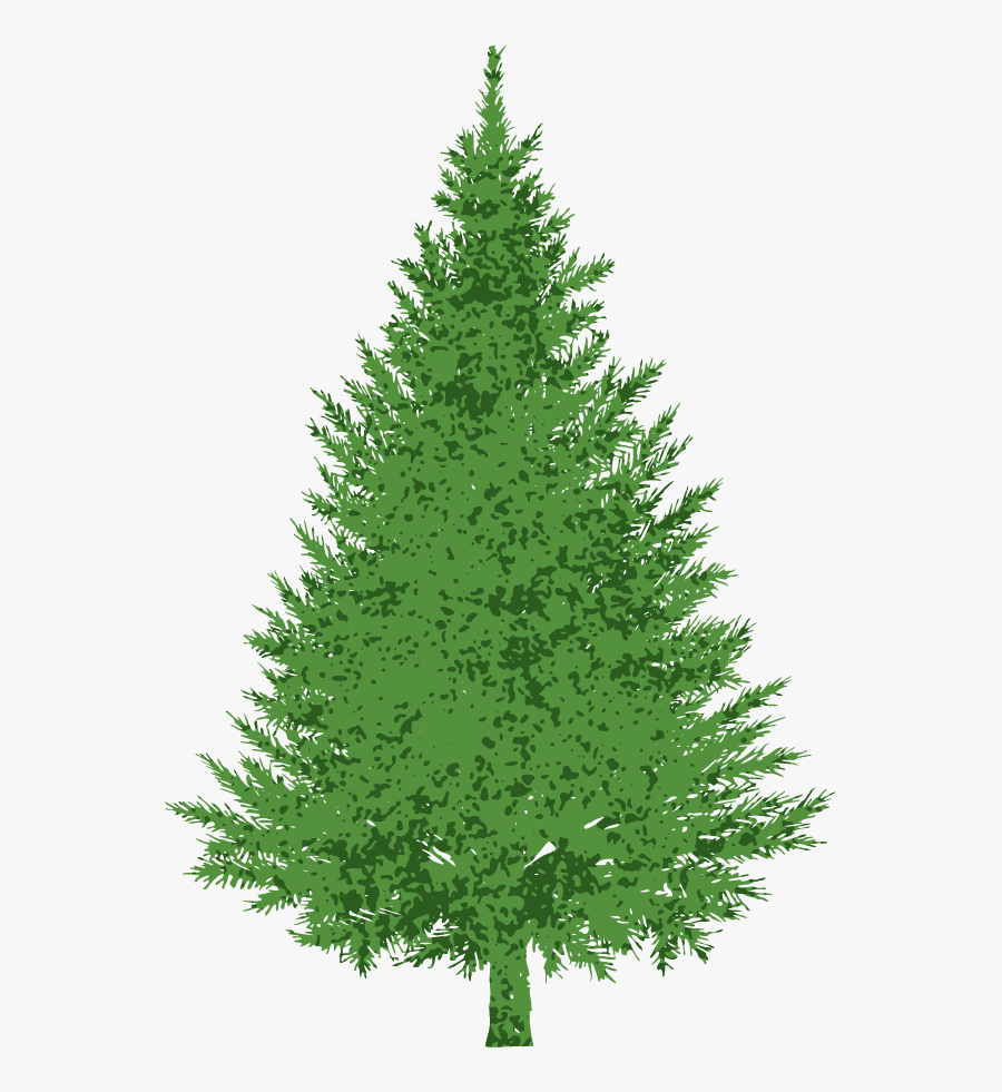 Evergreen Clipart Fir Tree Transparent - Evergreen Tree Clipart Transparent, Transparent Clipart