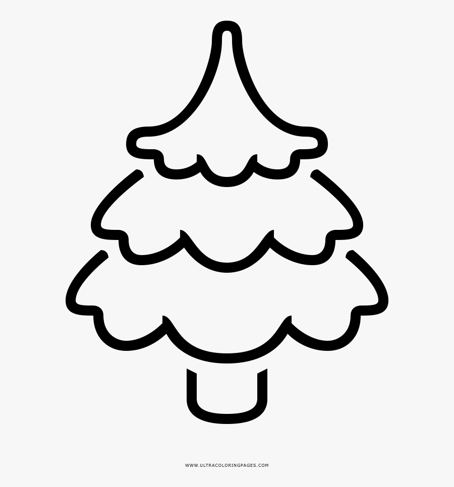 Pine Tree Coloring Page, Transparent Clipart