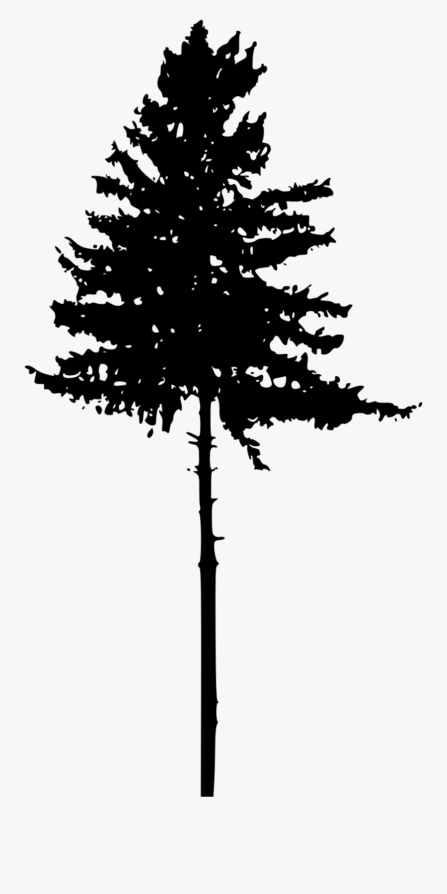 Tree Pine Silhouette Clip Art - Transparent Pine Trees Silhouette, Transparent Clipart