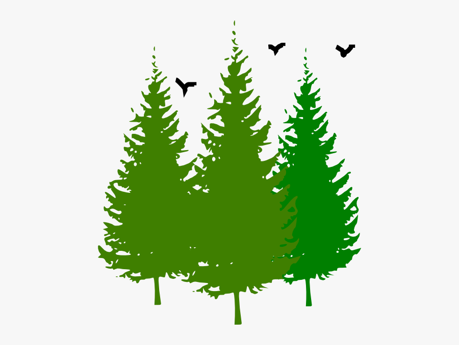 Transparent Pine Trees Silhouette Png - Pine Trees Clip Art, Transparent Clipart