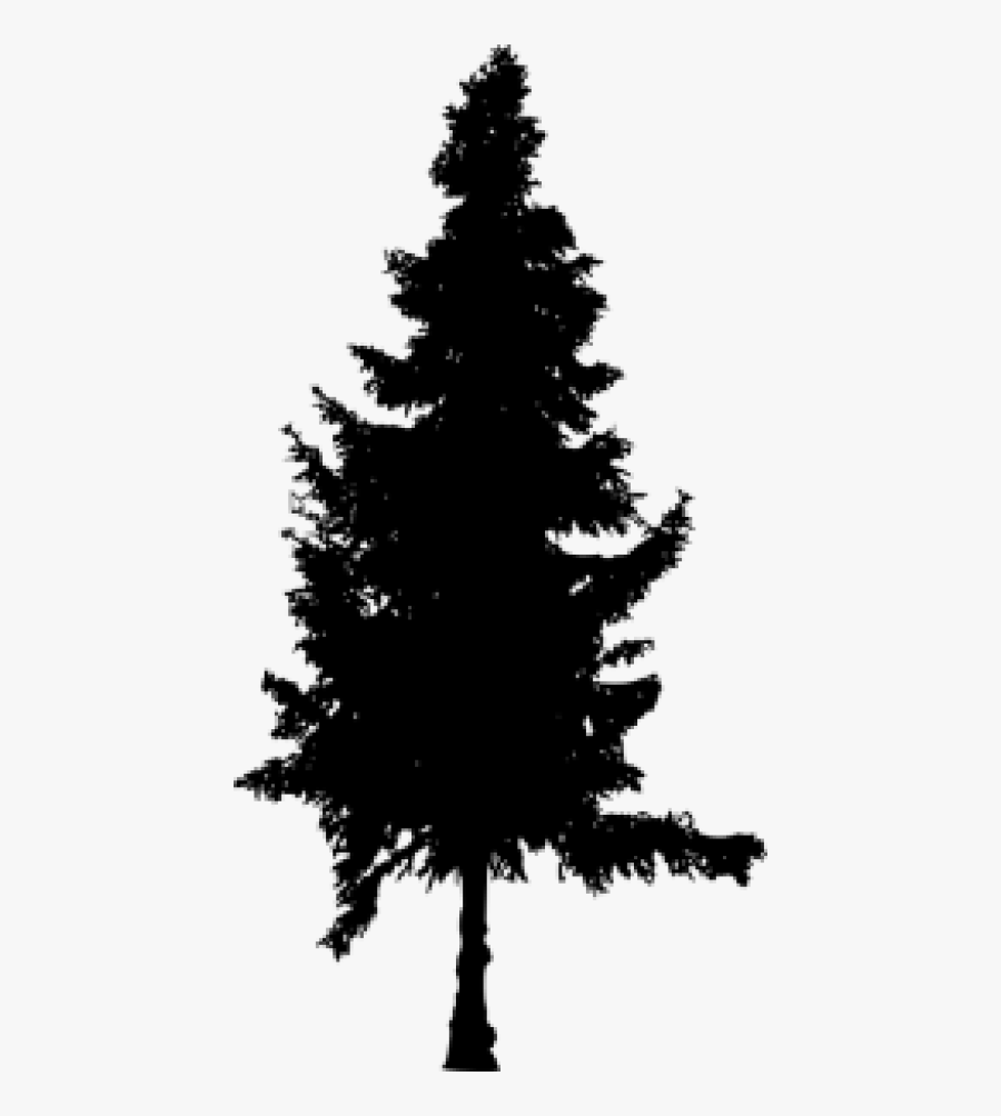 Pine Tree Silhouette Png - Silhouette Pine Tree Png, Transparent Clipart