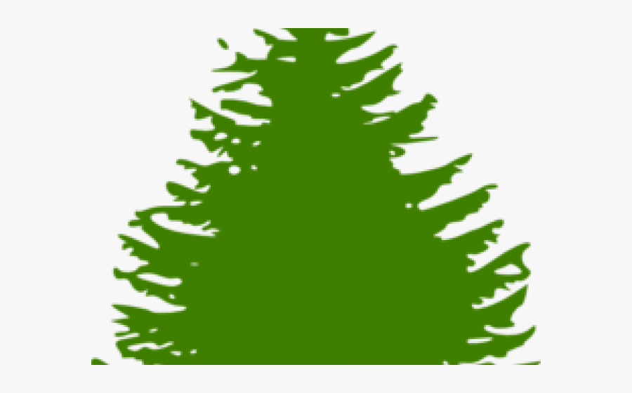 Pinetree Clipart - Evergreen Tree Silhouette Png, Transparent Clipart