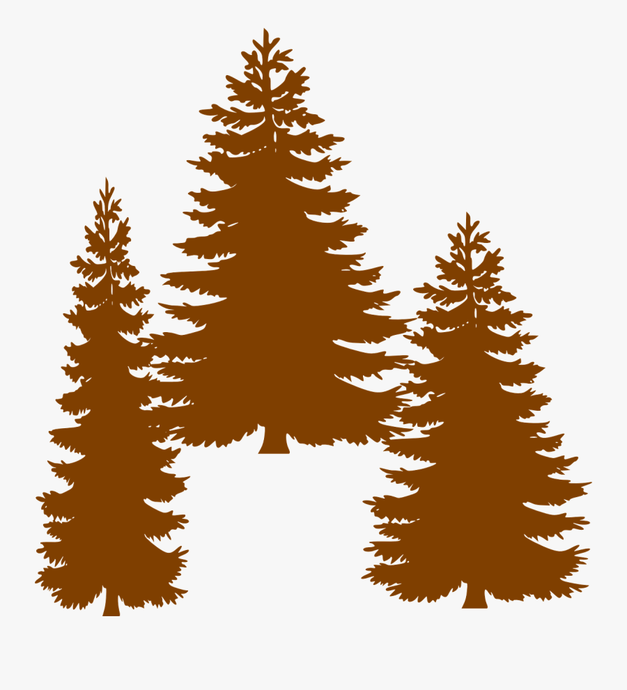 Pine Fir Tree Evergreen Clip Art - Pine Tree Png Vector , Free
