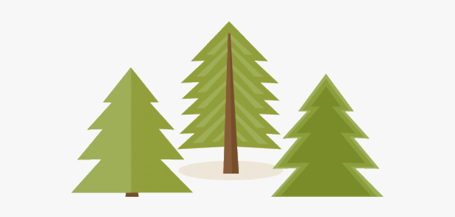 Pine Tree Clipart - Transparent Background Pine Tree Clipart, Transparent Clipart