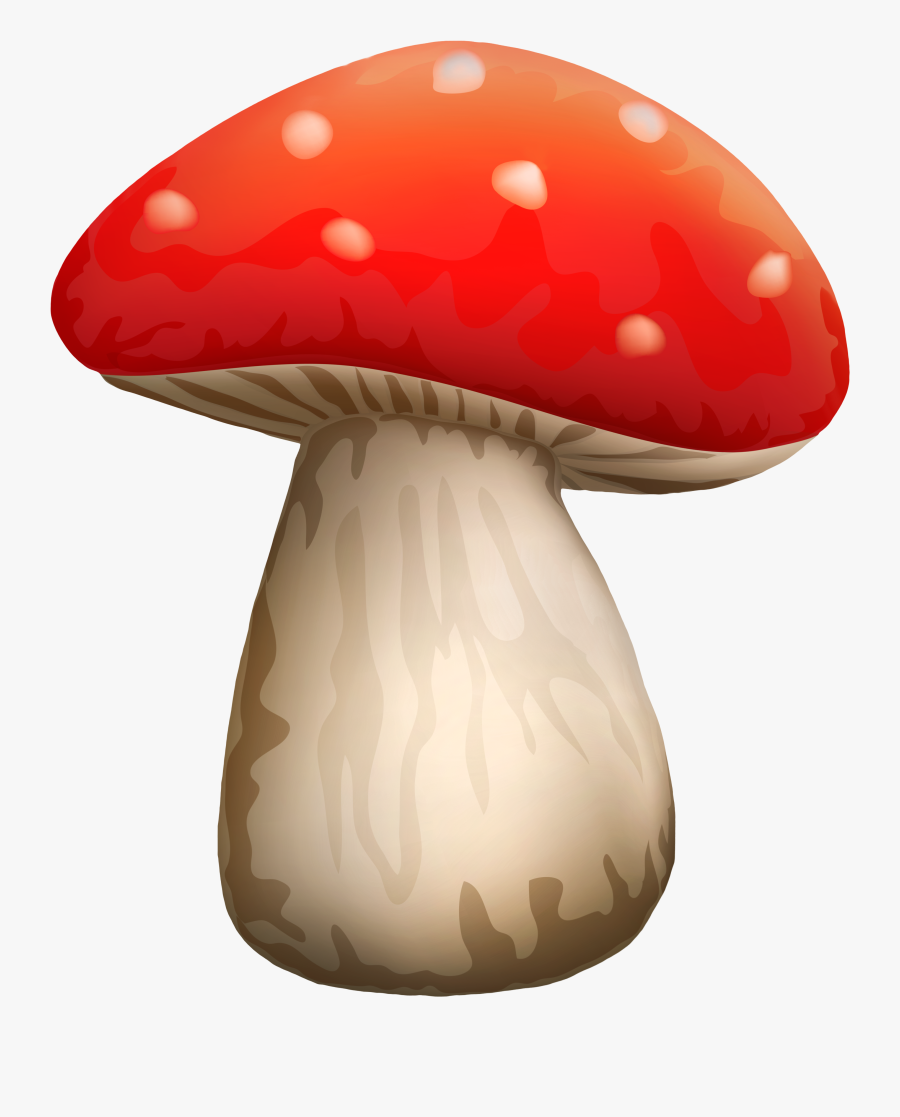 Poisonous Red Mushroom With White Dots Png Clipart - Poisonous Mushroom Png, Transparent Clipart
