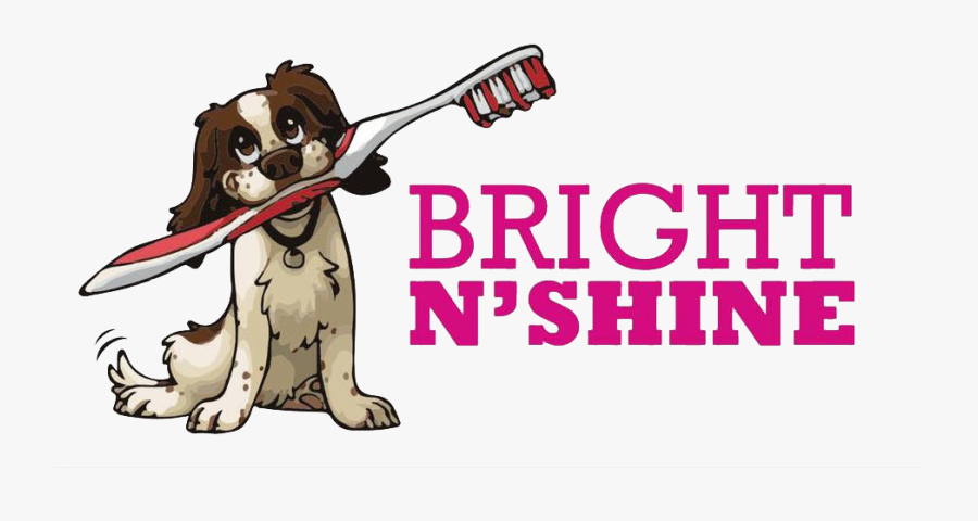 Bright N Shine Mobile Non Anesthetic Dog Ⓒ - Maverick, Transparent Clipart