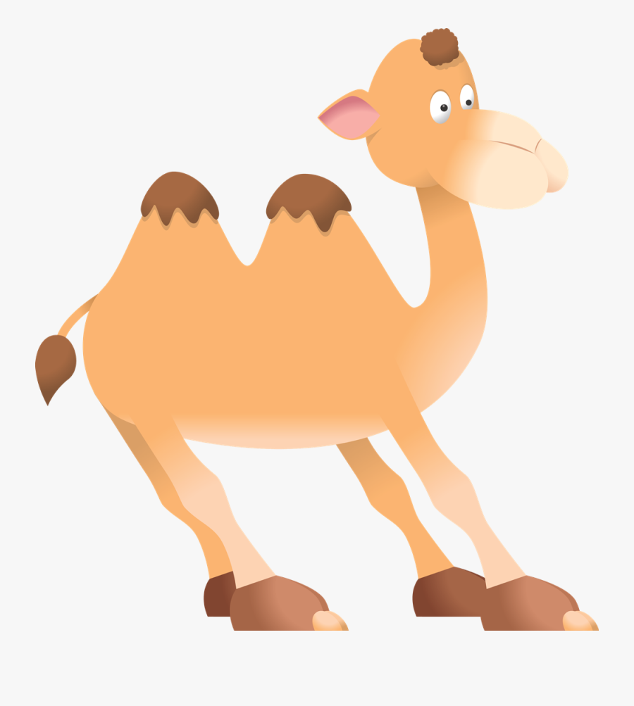 Funny Camel Clipart Funny Pictures Image - 5 Sentence About Camel, Transparent Clipart