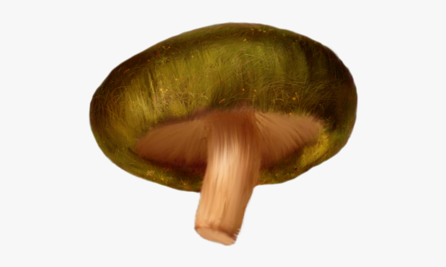Download Mushroom Png Clipart - Russula Integra, Transparent Clipart