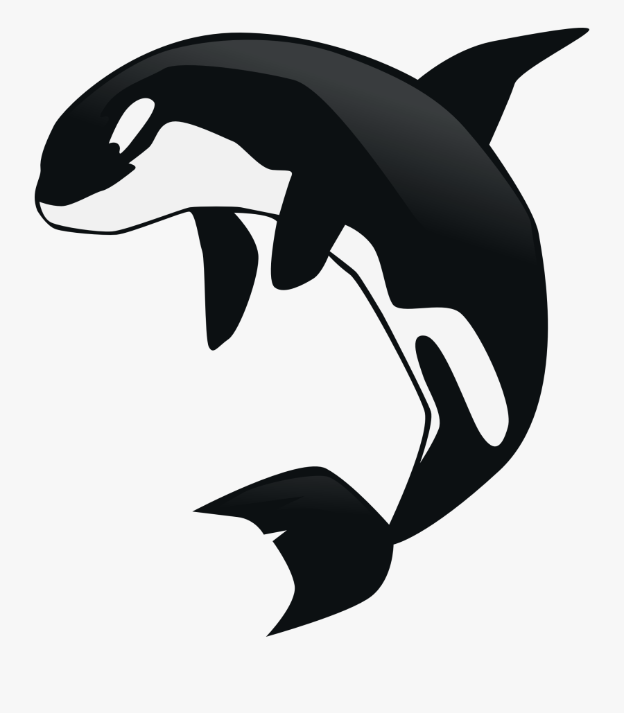 Funny Whale Clipart Clip Art Of 0 Clipartwork - Killer Whale Clipart Png, Transparent Clipart