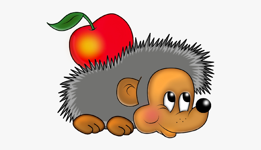 Funny Hedgehog Images Clipart - Hedgehog Clipart Png, Transparent Clipart