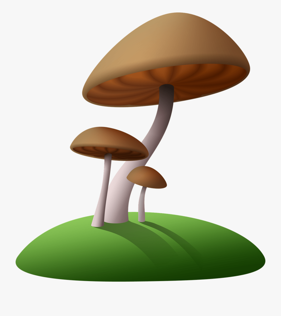 Mushrooms Brown Clipart - Transparent Background Mushroom Clipart, Transparent Clipart