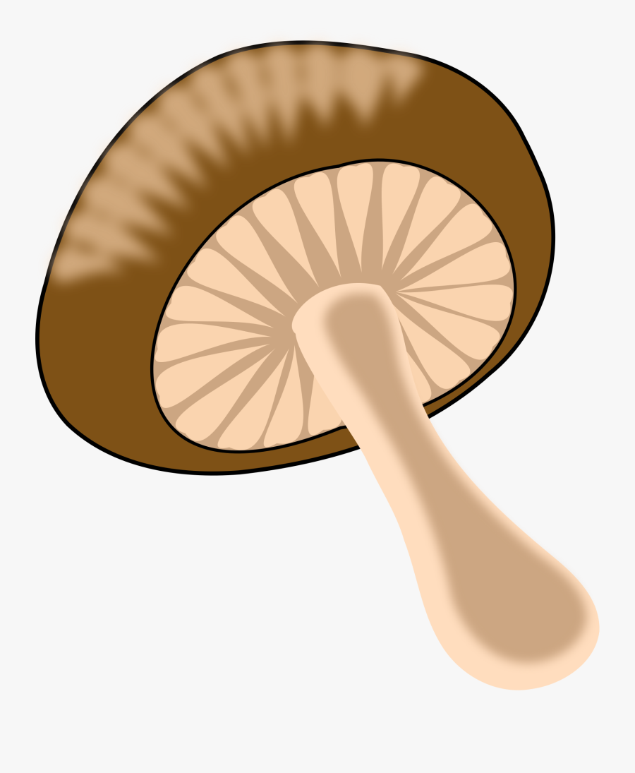 Beige,edible Mushroom,mushroom - Mushrooms Edible Clipart, Transparent Clipart