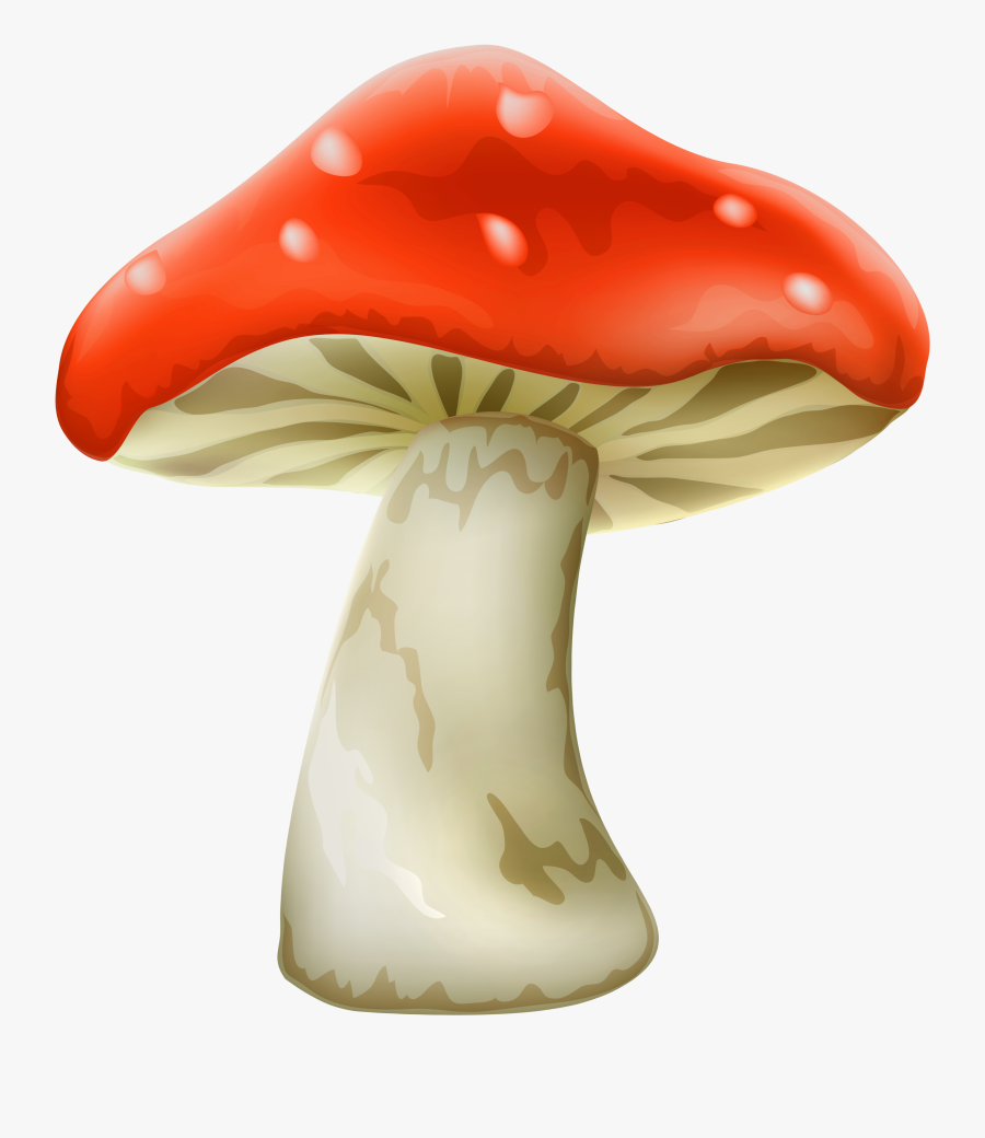 Pin Mushroom Clipart Red Mush - Mushroom Png, Transparent Clipart