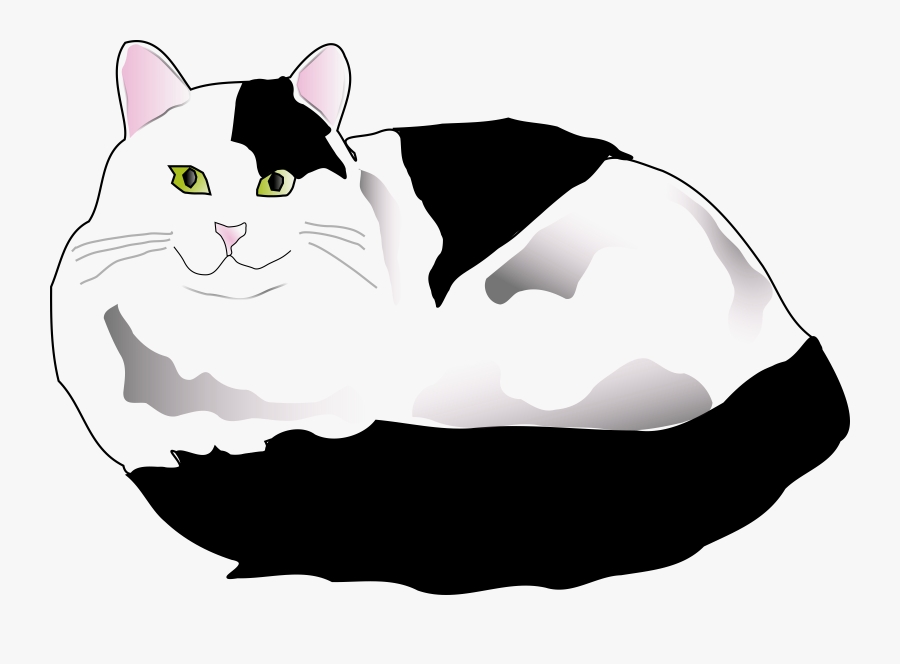 Black And White Png Of Cat - White And Black Cat Cartoon, Transparent Clipart