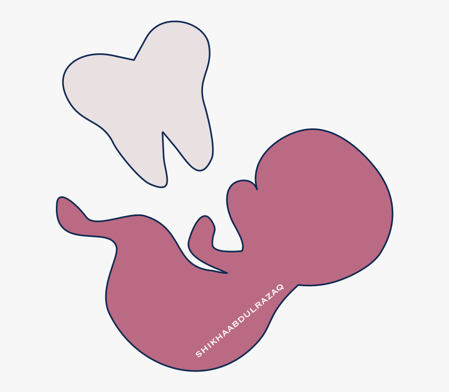 Pregnancy Dentistry The Studental - Illustration, Transparent Clipart