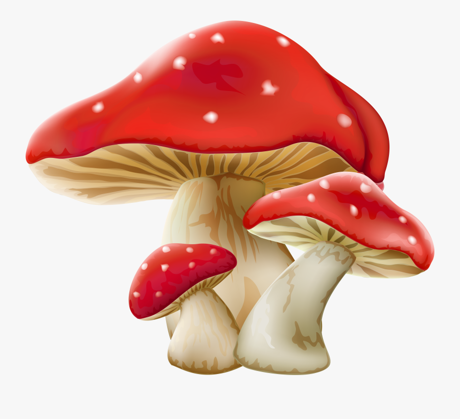 Transparent Mushroom Clip Art - Alice In Wonderland Mushroom Png, Transparent Clipart