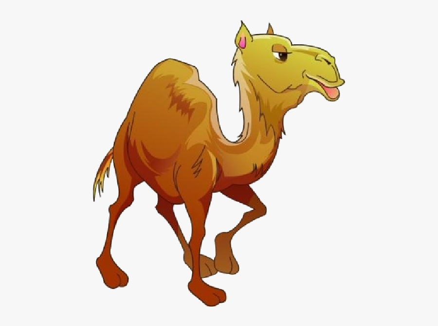 Funny Camel Clipart Funny Camel Pictures - Camel Funny Pic Clip Art, Transparent Clipart