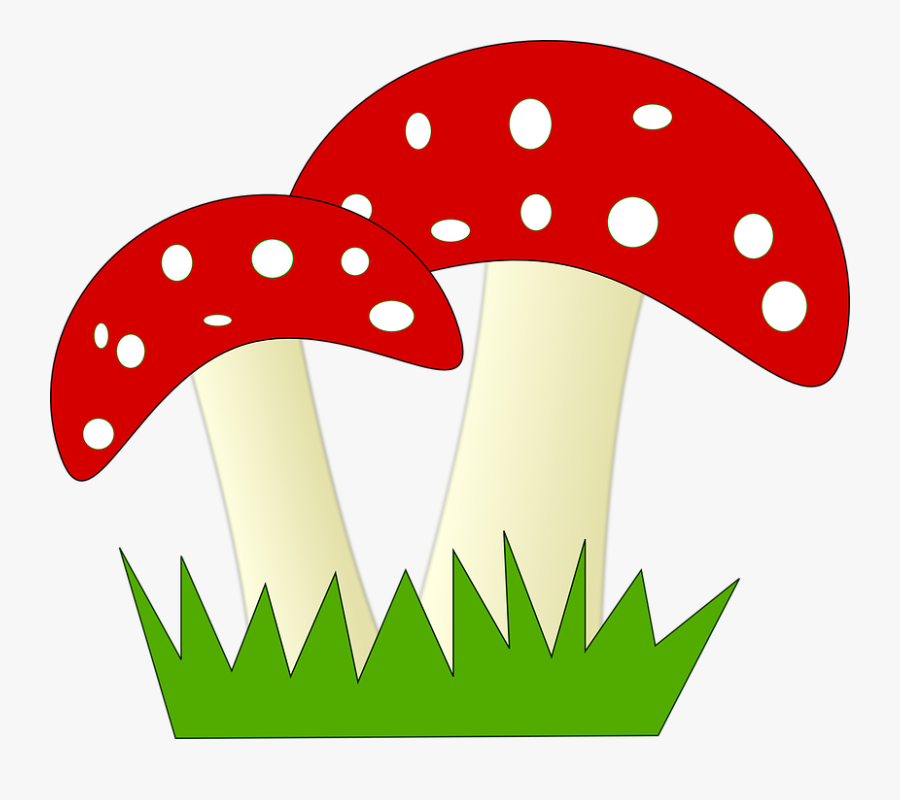 Mushroom Cliparts, Transparent Clipart