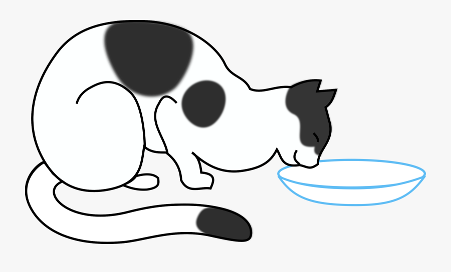 White Cat Drinking Image Library Stock - Cat Eating Milk Drawing, Transparent Clipart