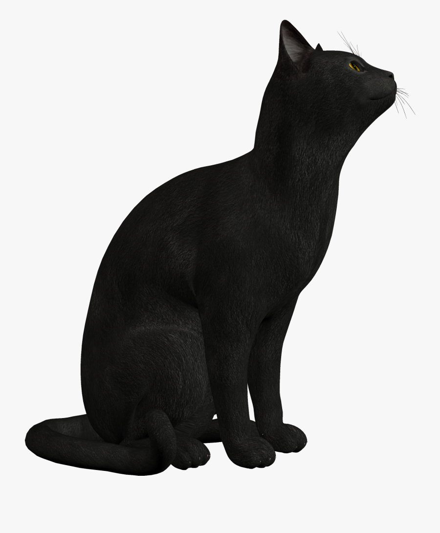 Black Cat Png Clipart, Transparent Clipart