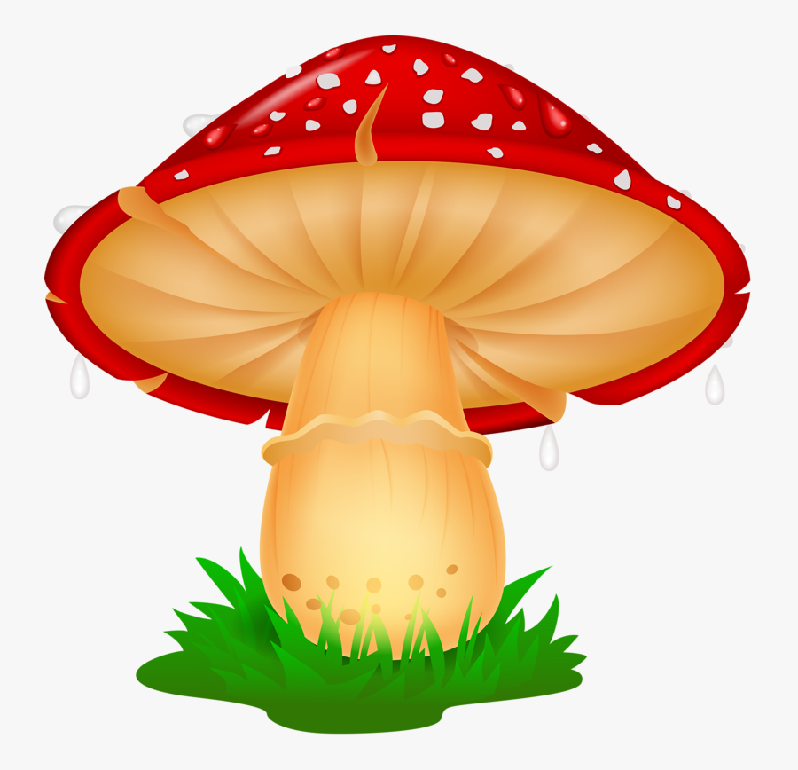 Gnome Clipart Woodland Mushroom - Mushroom Cartoon, Transparent Clipart