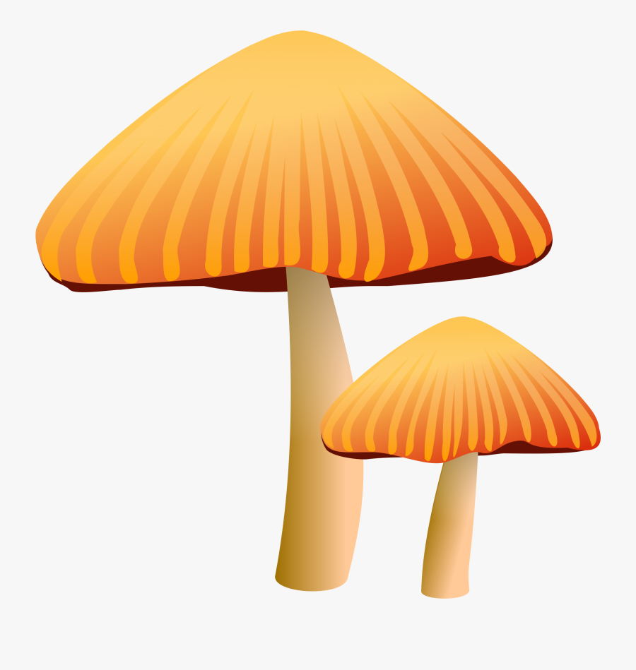 Clipart Orange Mushroom - Mushroom Clip Art, Transparent Clipart