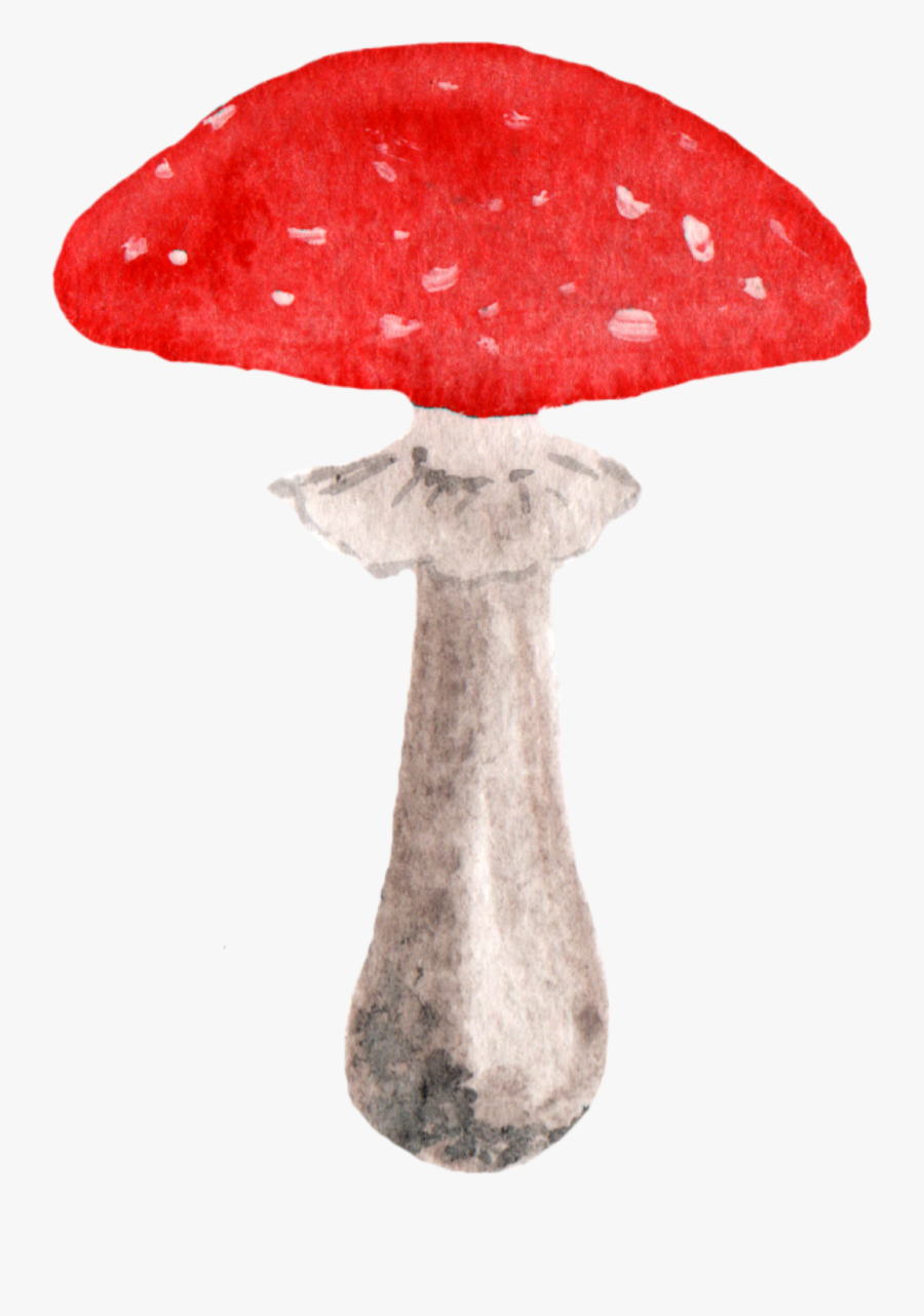 Woodland Clipart Woodland Mushroom - Cute Mushroom Watercolor Transparent, Transparent Clipart