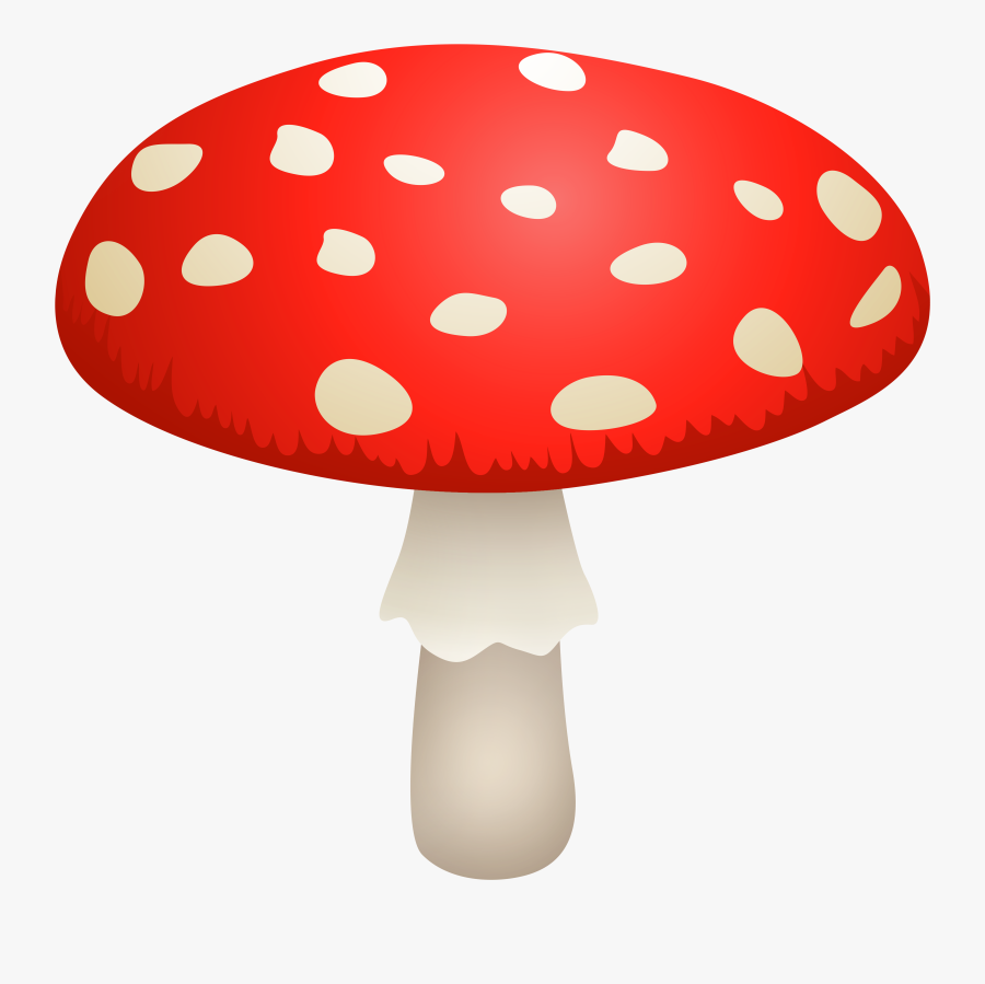 Mushroom Amanita Muscaria Png Clipart - Amanita Muscaria Png, Transparent Clipart