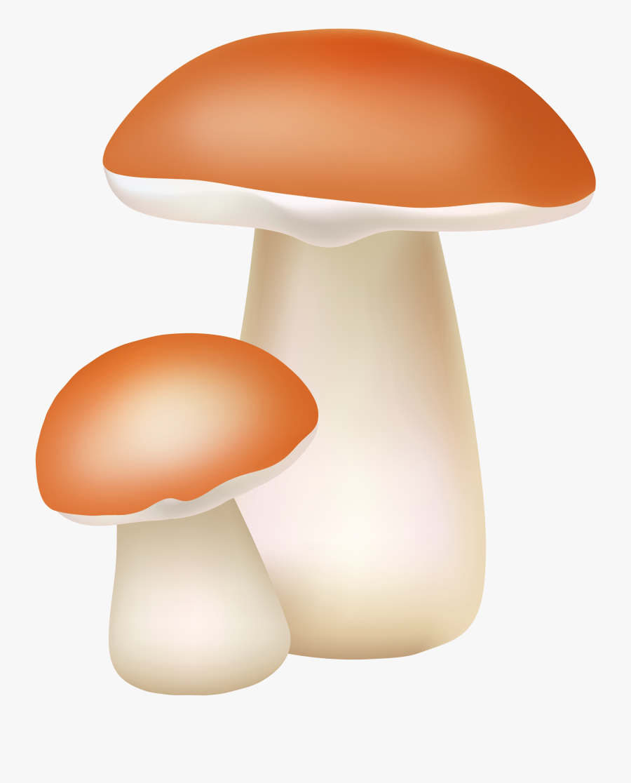 Transparent Mushrooms Png - Png Clipart Mushroom Png, Transparent Clipart