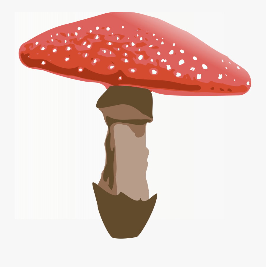Amanita Muscaria Png File - Transparent Background Mushroom Clipart, Transparent Clipart