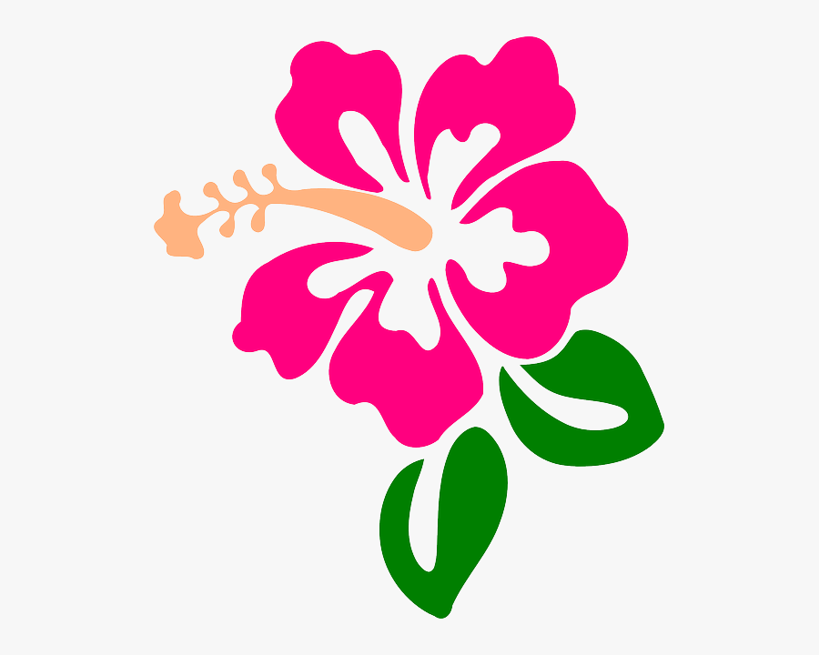 Hibiscus Clipart Moana - Hibiscus Clip Art, Transparent Clipart