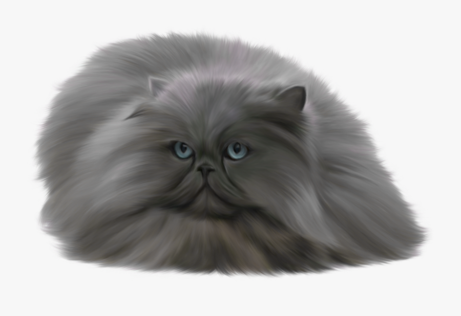 Grey Cat Transparent Background, Transparent Clipart