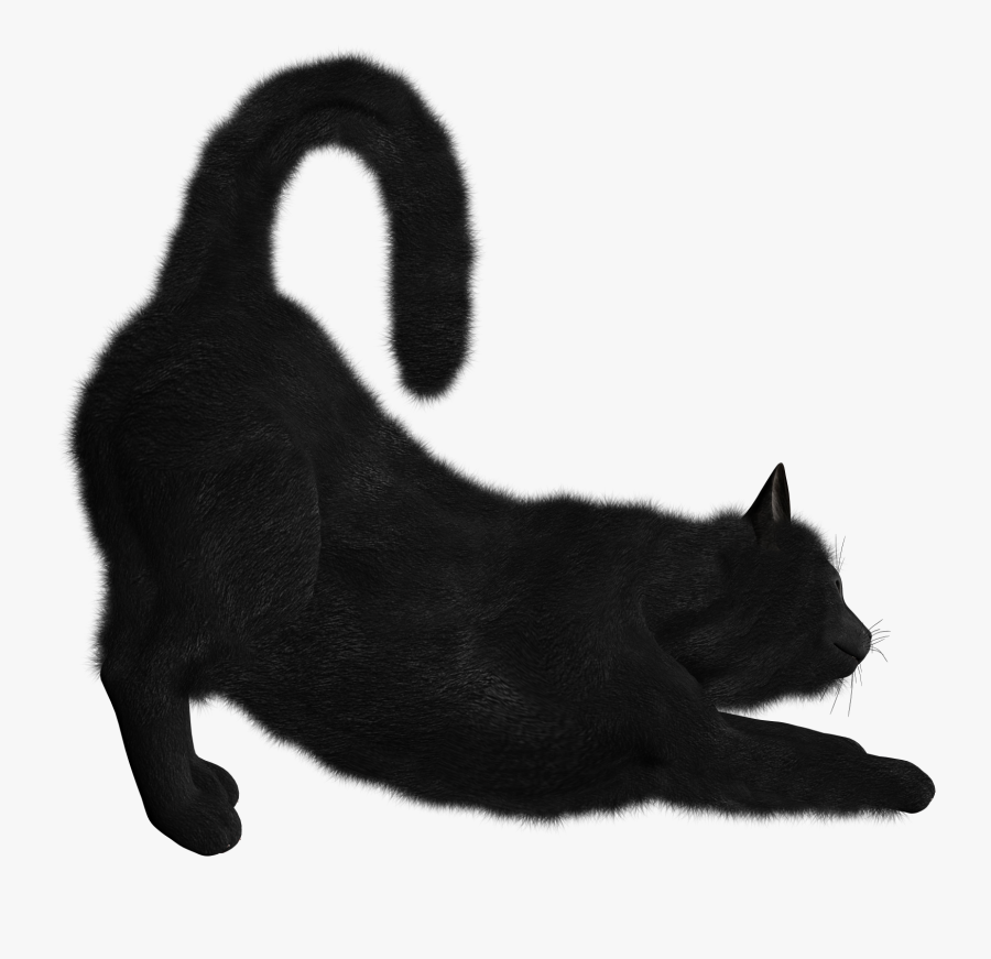 Png Black Cat Collection Clipart - Black Cat Png Transparent, Transparent Clipart