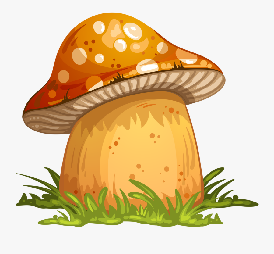 Mushroom Clipart, Transparent Clipart