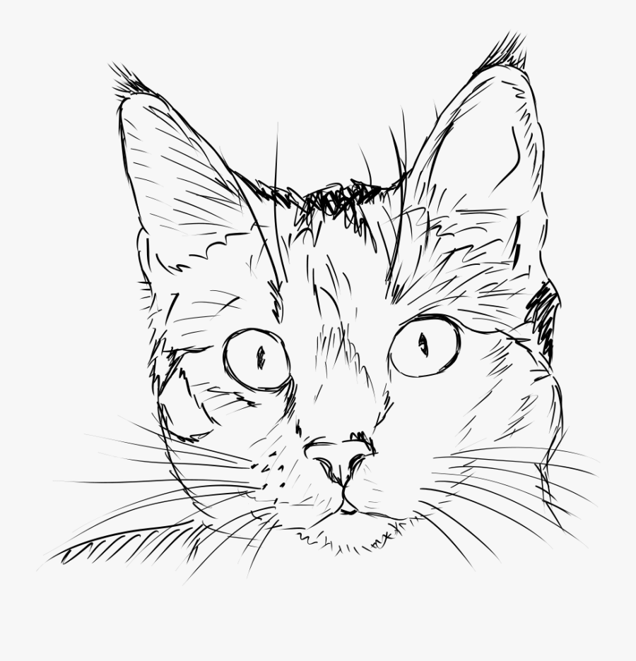 Vector Free Stock Cute Cat Clipart Black And White - Realistic Cat Line Drawing, Transparent Clipart