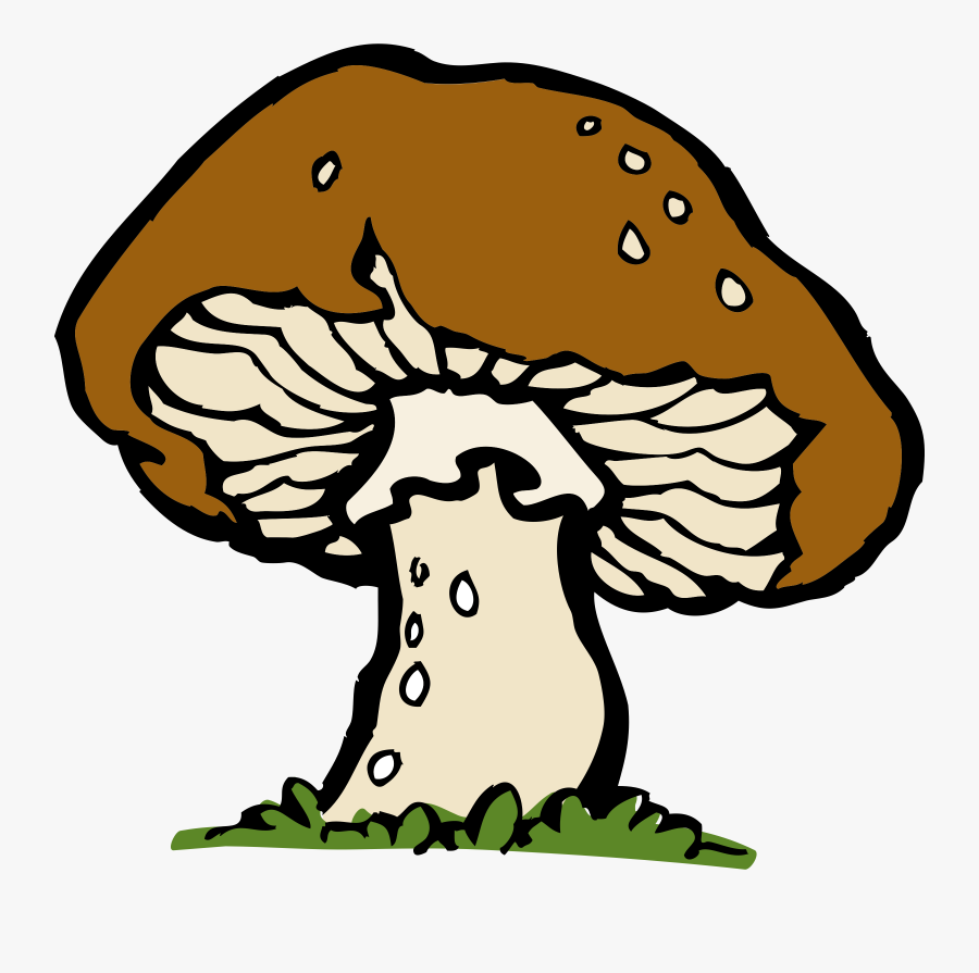 Bacteria Clipart Decomposer - Mushroom Clip Art, Transparent Clipart