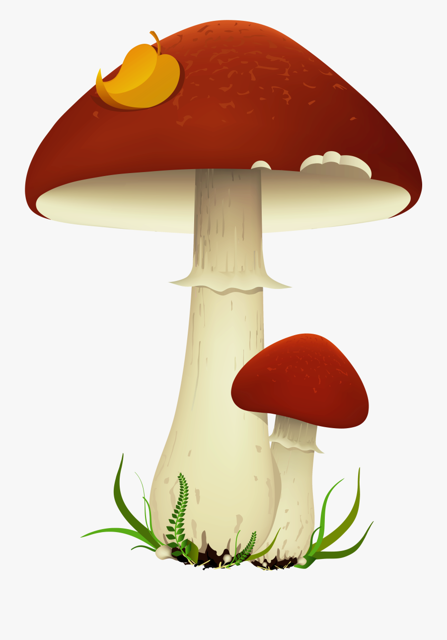 Mushroom Clip Art - Transparent Background Mushroom Clipart, Transparent Clipart