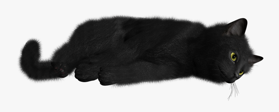 Transparent Background Black Cat Png, Transparent Clipart