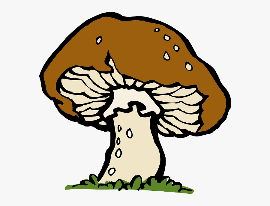 Mushroom Clip Art, Transparent Clipart