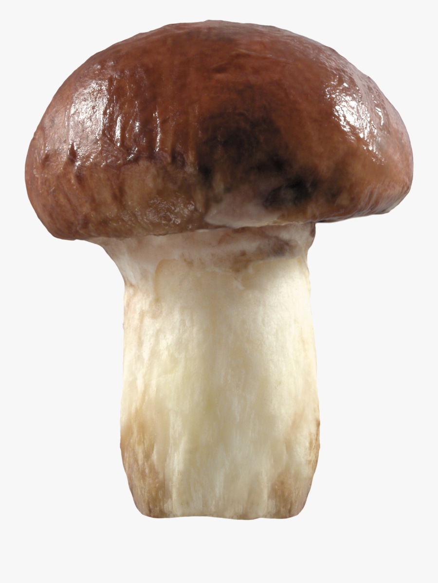 Brown Mushroom Png, Transparent Clipart