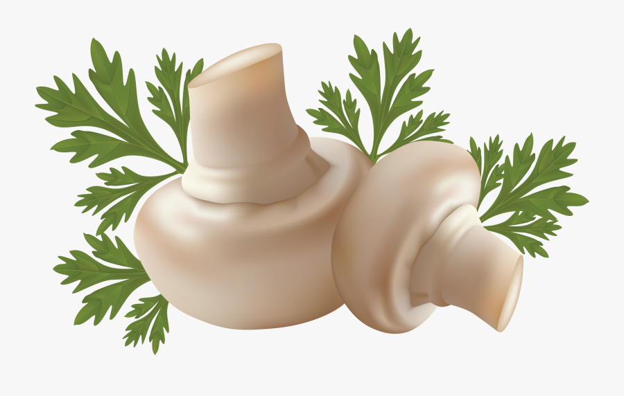 White Mushrooms Png Image - Mushroom Png, Transparent Clipart