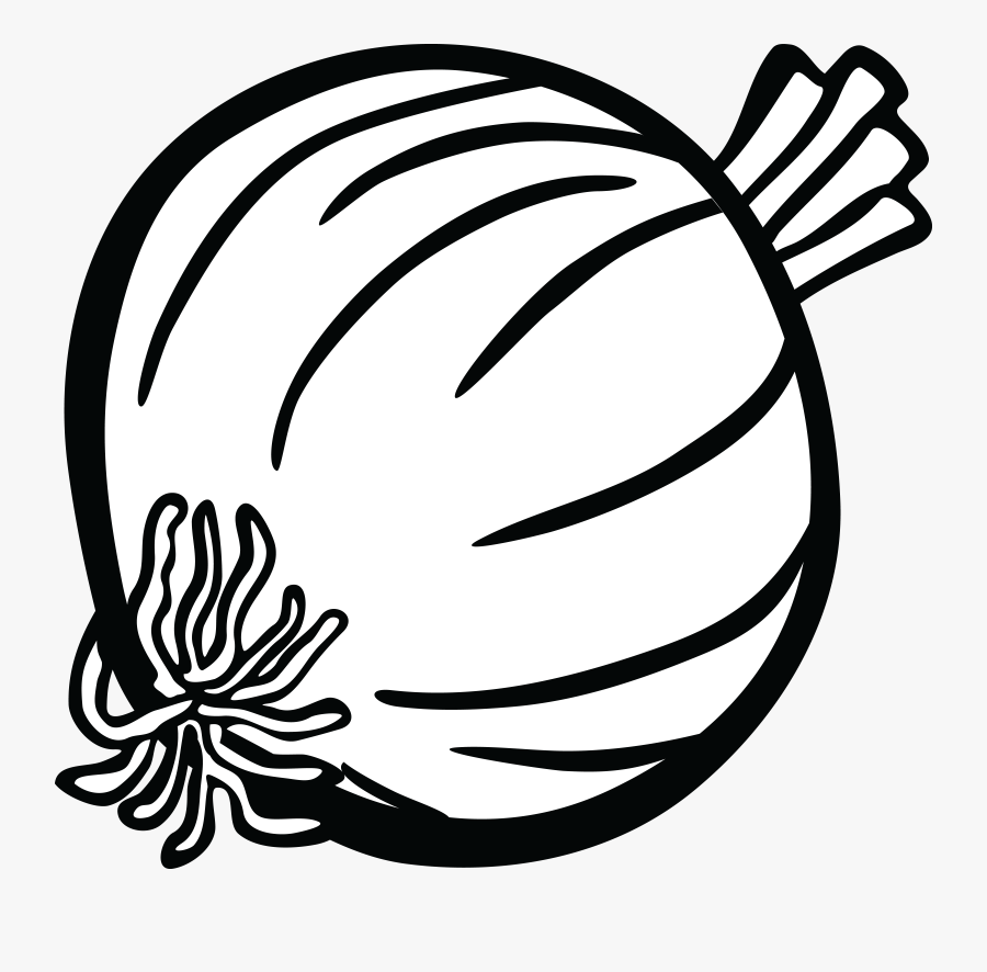 Onion Clipart Line Art - Onion Clipart Black And White, Transparent Clipart