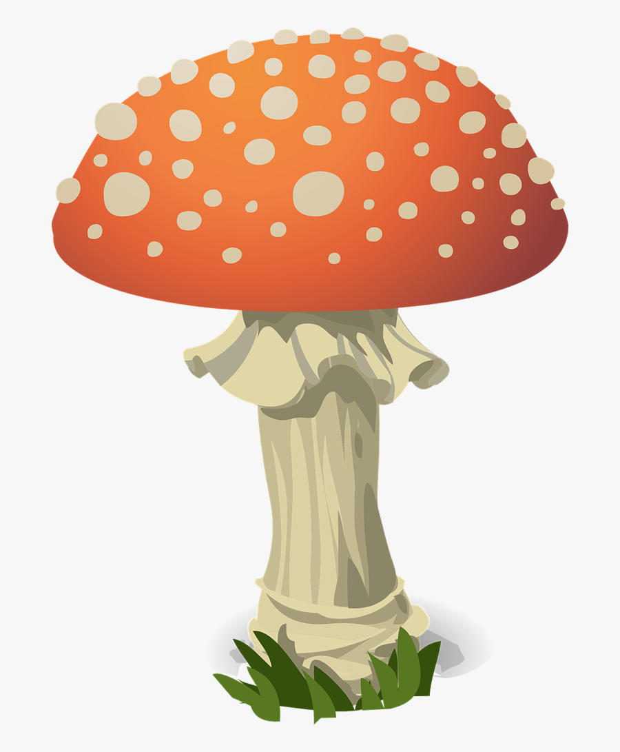 Mushroom Free To Use Clip Art - Parts Of A Mushroom Labeled, Transparent Clipart