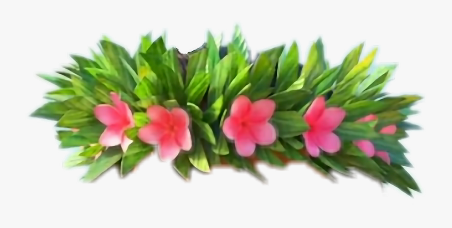 Moana Clipart Crown - Moana Flower Crown Png, Transparent Clipart
