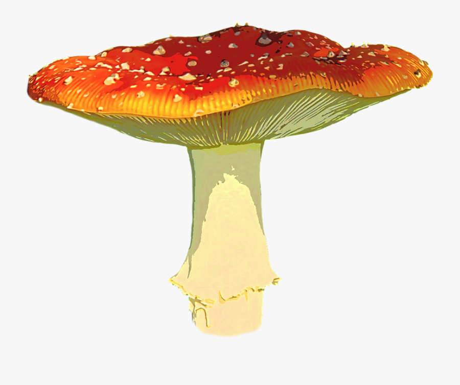 Mushroom Clip Art - Amanita Muscaria Png, Transparent Clipart