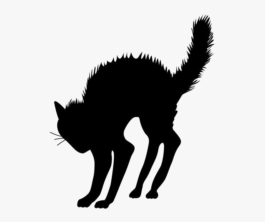 Silhouette Black Cat Transparent, Transparent Clipart