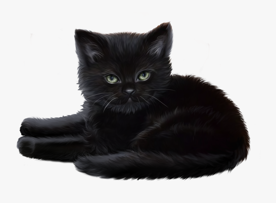 Black Cat, Transparent Clipart